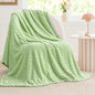 BEDELITE Fleece Throw Blanket for Couch & Bed - 3D Jacquard Decorative Light Green Blanket, Super Soft and Cozy Warm Fuzzy Blanket All Seasons Suitable, 50x60Inches