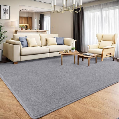 AROGAN 4x6 Feet Shag Area Rugs for Bedroom, Modern Washable Rugs for Living Room, Indoor Floor Carpet, Plush Memory Foam Bedside Rugs for Kids Girls Teens Room Low Pile Rug Decor, Grey
