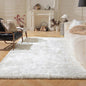 Ashler Faux Fur Rug, Fluffy Shaggy Area Rug Ultra Soft 4 x 6 Feet Rectangle Fur Rug White Fuzzy Rug Machine Washable Shag Rug, Nursery Decor Throw Rugs for Bedroom, Kids Room, Living Room