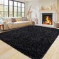 Pionblank Super Fluffy Area Rug for Living Room 5x7 Feet, Modern Indoor Shaggy Carpet, Soft Plush Non Slip Rugs for Bedroom Kids Room Cloakroom Home Decor, Black