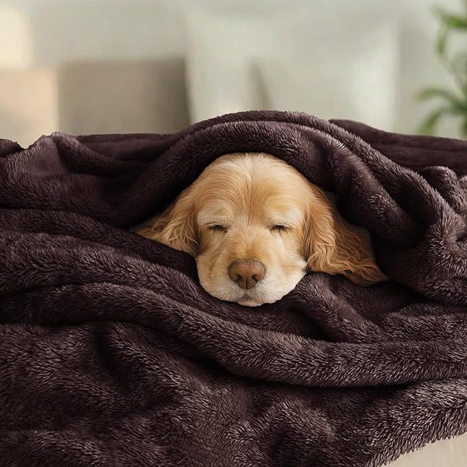 Exclusivo Mezcla Plush Fuzzy Fleece Bed Blanket Queen Size, Super Soft, Fluffy and Warm Blankets for Couch, Bed, All Season (Coffee, 90x90 Inches)