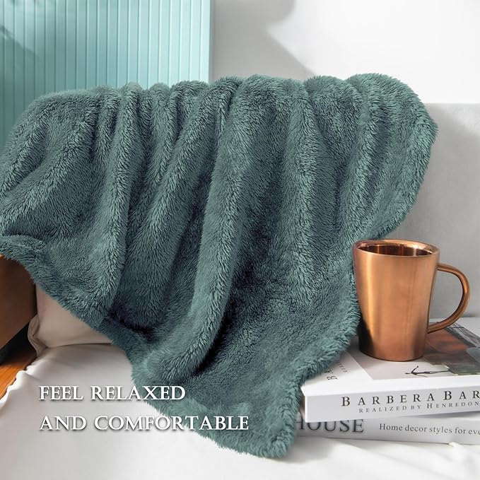 Exclusivo Mezcla Plush Fuzzy Fleece Throw Blanket Extra Large, Super Soft, Fluffy and Warm Blankets for Couch, Bed, All Season (Celadon, 50x70 inches)