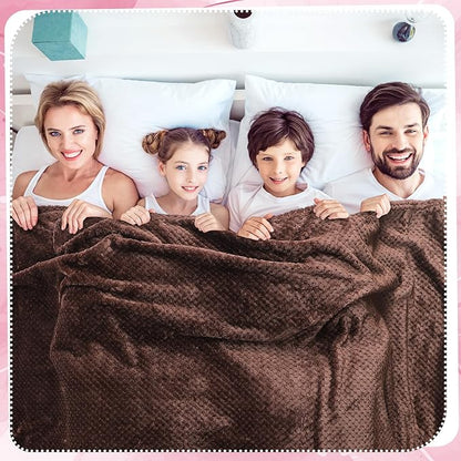 Newwiee 4 Pcs Flanne Fleece Throw Blanket for Bed Couch Large 3D Waffle Textured Soft Blanket Winter Warm Lightweight No Shedding No Pilling Decorative Throw, 50x60 Inch(Graceful Color)