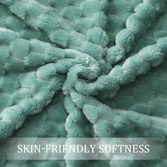 Exclusivo Mezcla Fleece Queen Blanket for Bed, Extra Large Fuzzy Celadon Bed Blankets, Soft Cozy Plush Sofa Throws for All Seasons, 90x90 Inches