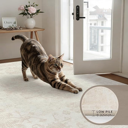 5x7 Area Rugs for Living Room: Vintage Boho Neutral Washable Rug Indoor Soft Large Area Rug Carpet for Bedroom Nursery Farmhouse Dining Room Office Floor Non-Slip Low Pile Under Table Rug Cream Beige
