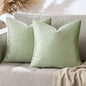 GIGIZAZA Throw Pillow Covers 22x22 Inch Sage Green Velvet Pillows Decorative Covers Pack of 2 for Sofa Pillowcase Cushion Covers