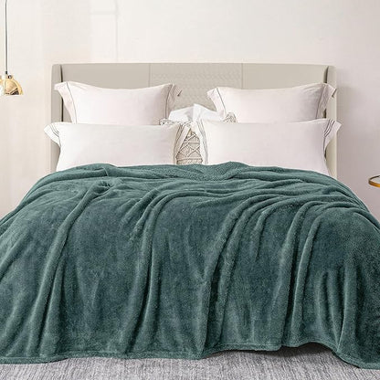 Exclusivo Mezcla Plush Fuzzy Fleece Bed Blanket Queen Size, Super Soft, Fluffy and Warm Blankets for Couch, Bed, All Season (Celadon, 90x90 inches)