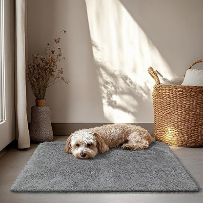 2x3 Fluffy Area Rugs for Bedroom Living Room,Small Soft Shag Fuzzy Rug Non-Shedding Indoor Plush Carpet for Kids Bedroom Nursery Dorm Home Decor,Deep Grey