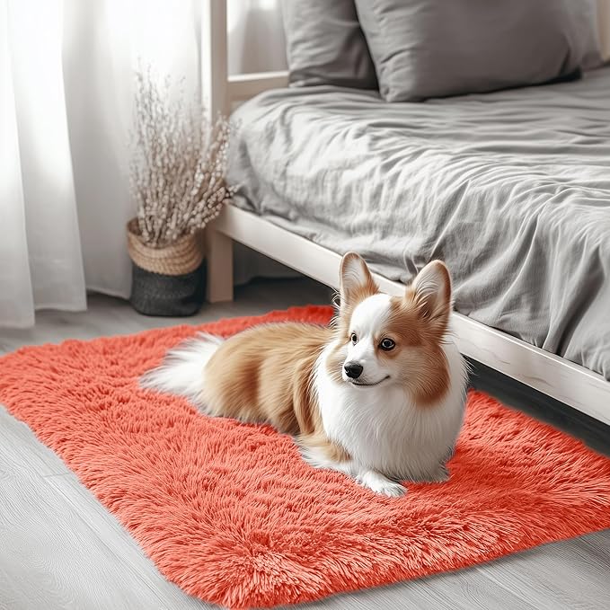 OLANLY 2x3 Machine Washable Small Bedside Rug, Soft Fluffy Shaggy Entryway Throw Rugs for Bedroom, Living Room, Indoor Floor Carpet for Kids Girls and Boys, Home Decor Aesthetic, Coral Red