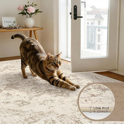 6x9 Area Rugs for Living Room: Vintage Boho Neutral Washable Rug Indoor Soft Large Area Rug Carpet for Bedroom Nursery Farmhouse Dining Room Office Floor Non-Slip Low Pile Under Table Rug Beige/Ivory