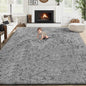 6x9 Area Rug for Living Room: Fluffy Shag Soft Washable Rugs Large Fuzzy Plush Indoor Carpet for Bedroom Nursery Playroom Kids Girls Boys Room (Grey, 6'x9')