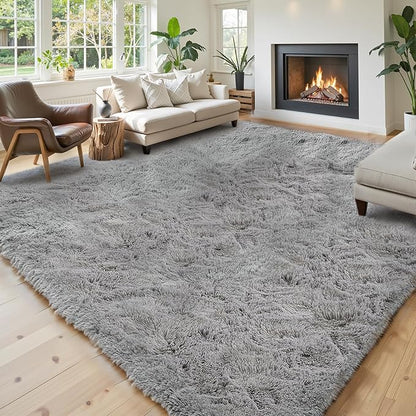 Ultra Soft Rug for Living Room, 3x5 Feet Grey Shag Area Rugs for Living Room, Modern Shaggy Carpets for Teens Dorm Nursery Home, Non Slip Indoor Rugs Floor Carpet(3 x 5, Light Grey)