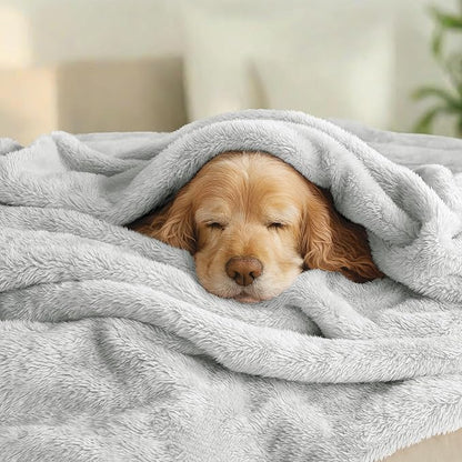 Exclusivo Mezcla Plush Fuzzy Fleece Bed Blanket Queen Size, Super Soft, Fluffy and Warm Blankets for Couch, Bed, All Season (Light Grey, 90x90 Inches)