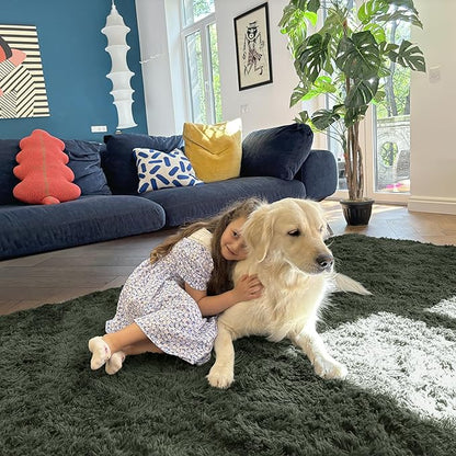 OLANLY 5x7 Machine Washable Large Area Rugs for Living Room, Bedroom, Soft Fluffy Shaggy Bedside Rug, Indoor Floor Carpet for Kids Girls and Boys, Dorms, Nursery, Home Decor Aesthetic, Olive Green