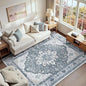RELEANY Area Rugs 6'x9' Washable Non-Slip, Floral Vintage Distress Print Pattern Medallion Carpet for Living Room Bedroom Dining Room, Light Gray Grey White