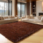 ONASAR Brown Rugs for Living Room Bedroom, 5x8 Fluffy Bedside Area Rug, Soft Plush Shaggy Indoor Floor Carpet for Nursery Kids Girls Boys Teen Dorm Home Office Decor Aesthetic