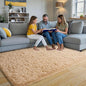 Pionblank Fluffy Area Rug for Bedroom 4x6 Feet, Indoor Plush Carpet, Shag Soft Bedside Rug, Cute Comfy Furry Rug for Living Room Dorm Girls Boys Room Nursery Decor, Camel