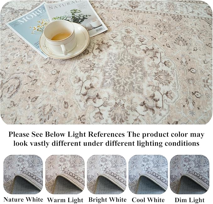 Washable 2x3 Entryway Area Rug - Neutral Kitchen Rug Runner Vintage Soft Floor Mat Non Slip Indoor Farmhouse Carpet for Bathroom Living Room Bedroom (2 X 3, Beige)
