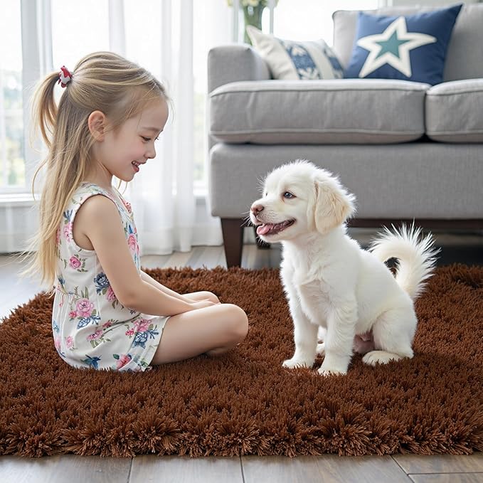 Rugs for Living Room 5x8, Alfombras para Salas Shag Large Plush Soft Area Rug, Shaggy Carpets for Bedroom, Kids Boys Girls Home Decor Aesthetic(Coffee, 5 x 8)