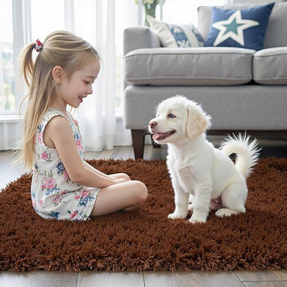 Rugs for Living Room 5x8, Alfombras para Salas Shag Large Plush Soft Area Rug, Shaggy Carpets for Bedroom, Kids Boys Girls Home Decor Aesthetic(Coffee, 5 x 8)