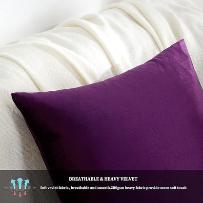 GIGIZAZA Purple Decorative Velvet Decorative 18x18 Throw Pillow Covers for Sofa Bed 2 Pack Soft Cushion Cover