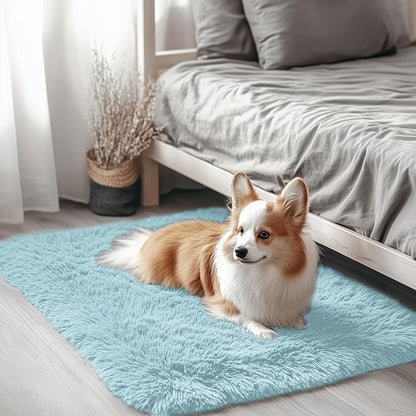 OLANLY 2x3 Machine Washable Small Bedside Rug, Soft Fluffy Shaggy Entryway Throw Rugs for Bedroom, Living Room, Indoor Floor Carpet for Kids Girls and Boys, Home Decor Aesthetic, Light Blue