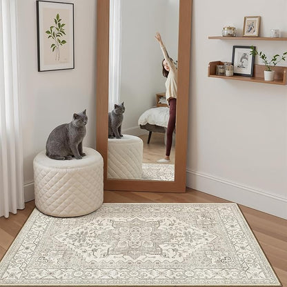 Madane Washable Area Rug 2x3, Small Entryway Rug Non-Slip Vintage Door Mat Indoor Entrance, Low Pile Floor Carpet for Inside Front Door Bedroom Kitchen Entry Laundry (2'x3', Beige/Brown)