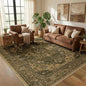 Area Rugs 5'x7' Washable Non-Slip, Floral Vintage Distress Print Pattern Medallion Carpet for Living Room Bedroom Dining Room, Brown Dark Brown