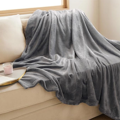 Bedsure GentleSoft Fleece Blanket Twin Size Grey - 300GSM Lightweight Plush Fuzzy Cozy Soft Warm Blanket for Bed, Sofa, Couch, Travel, Camping, 60x80 inches