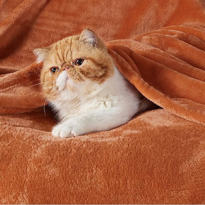 Bedsure GentleSoft Fleece Throw XL Blanket Dark Orange - 300GSM Soft Lightweight Plush Cozy Blankets for Bed, Sofa, Couch, Travel, Camping, 50x70 inches