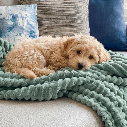 Bedsure GentleSoft Sage Green Throw Blanket for Couch - Cozy Soft Spring Blankets for Women, Cute Small Fleece Throws Spring Gifts for Women Teen Girls, Sage Green Decor Room Home, 50x60 Inches
