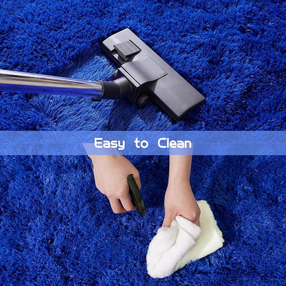 Pionblank Fluffy Small Rug for Bedroom 2x3 Feet, Shag Soft Area Rug for Bedside, Modern Plush Cute Carpet for Kids Girls Boys Room Nursery Decor, Royal Blue