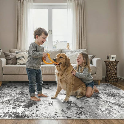 BEIMO Area Rugs 5x7 for Living Room Bedroom, Modern Abstract Machine Washable Rug, Large Soft Low Pile Floor Carpet with Non Slip Backing for Dining Room, Black Grey