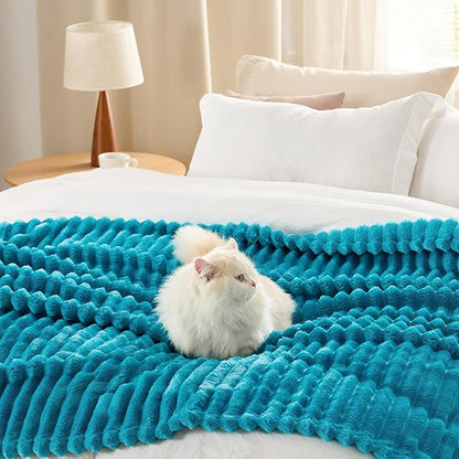 Bedsure Teal Fleece Blanket for Couch - Super Soft Cozy Twin Blankets for Women, Cute Small Throws for Girls, 60x80 Inches