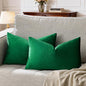 GIGIZAZA Decorative Small Lumbar Pillow Covers, Set of 2 Cushion Covers Velvet Forest Green Pillows,Sofa Throw 12 X 20 Pillow Covers