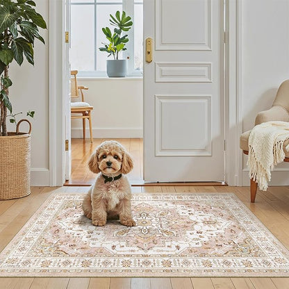 Madane Washable Area Rug 2x3, Small Entryway Rug Non-Slip Vintage Door Mat Indoor Entrance, Low Pile Floor Carpet for Inside Front Door Bedroom Kitchen Entry Laundry (2'x3', Pink)