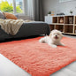 OLANLY 3x5 Machine Washable Small Bedside Rug, Soft Fluffy Shaggy Rugs for Living Room, Bedroom, Indoor Floor Carpet for Kids Girls and Boys, Preppy Dorms, Nursery, Home Decor Aesthetic, Coral Red
