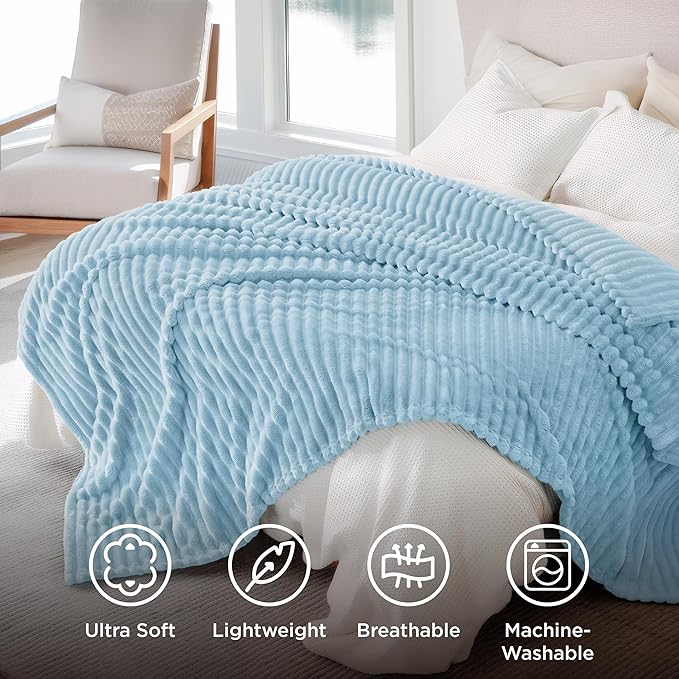 Bedsure GentleSoft Blue Fleece Blanket for Couch - Cozy Soft Blankets for Women, Cute Small Throws for Girls, Light Blue, 108x90 Inches
