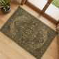 Area Rugs 2'x3' Kitchen Rugs Entry Rug Small Rugs for Entryway Kitchen Bathroom Door Mat Indoor Entrance,Washable Non Slip, Brown Dark Brown