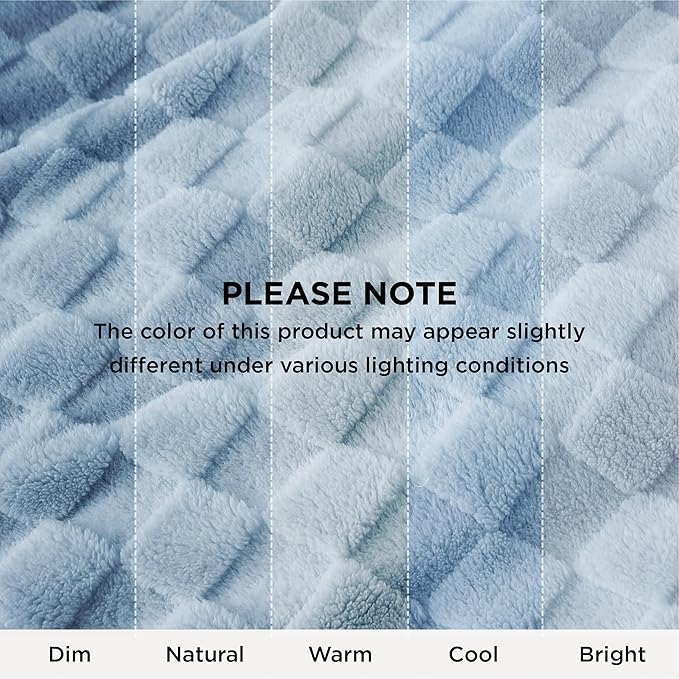 Bedsure GentleSoft Twin Blanket for Bed Light Blue - Super Soft Cozy Blankets for Kids Girls, Cute Fuzzy Fleece Throws for Bedroom Couch, 60x80 Inches
