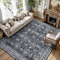 Lofus 5x7 Area Rug for Living Room,Black Washable Area Rugs with Non-Slip Backing,Soft Boho Carpets for Bedroom Dining Room Home Office Indoor Nursery