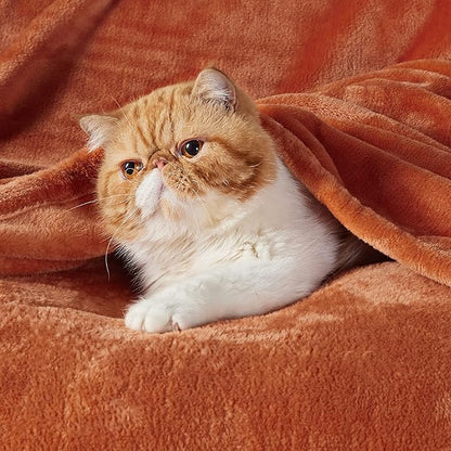 Bedsure GentleSoft Twin XL Fleece Blanket Dorm Bedding - Lightweight Soft Cozy Blankets for Bed, Sofa, Couch, Travel, Camping, Dark Orange, 66"x90"
