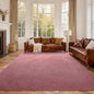 FinRèc 6x9 Washable Area Rugs for Bedroom Living Room, Low Pile Thin Rug Solid Color, Non-Slip Carpet Indoor for Home Decor (Red)