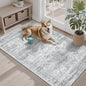 3x4 Rug, Small Area Rug for Kitchen, Entryway, Machine Washable Non-Slip Throw Rug, Vintage Carpet for Nursery Coffee Table Grey