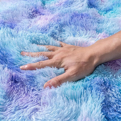 Small Rugs for Bedroom, Fluffy 2x3 Rug Throw Non Slip for Bedside Dorm Kids Room, Plush Comfy Shag Carpet for Home Decor Aesthetic, Rainbow Purple