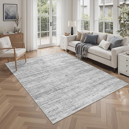 Washbale Rugs 3x5 Ultra Soft Area Rug, Non Slip Indoor Entryway Rugs, Stain Resistant Area Rugs for Living Room Dining Bedroom，Modern Abstract Home Decor Small Rug