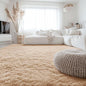 OLANLY 6x9 Machine Washable Large Area Rugs for Living Room, Bedroom, Soft Fluffy Shaggy Bedside Rug, Indoor Floor Carpet for Kids Girls and Boys, Dorms, Nursery, Home Decor Aesthetic, Beige