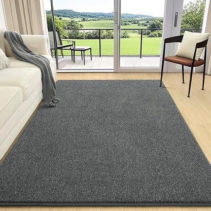AROGAN Washable 5×7 Living Room Rug, Modern Area Rugs with Soft Memory Foam for Bedroom, Minimalist Non-Slip Indoor Floor Carpet for Dining Room Office Kids Playroom Decor, Black and White