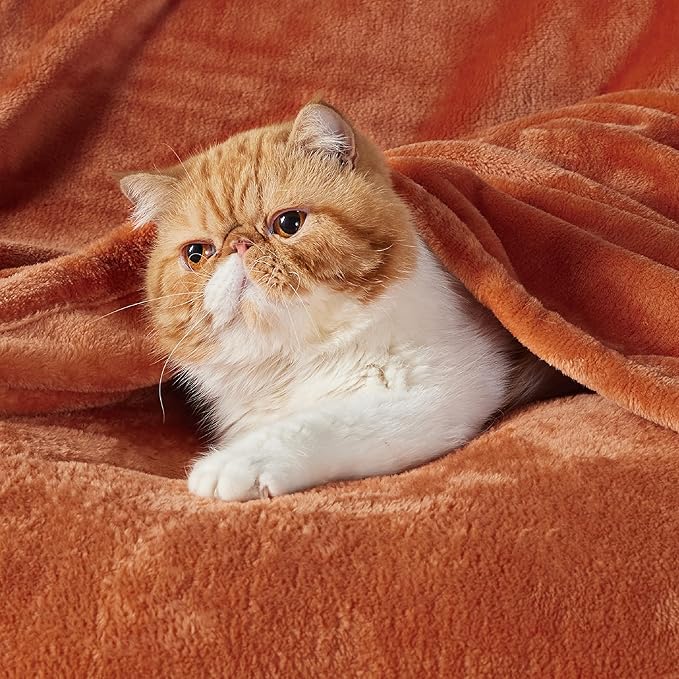 Bedsure GentleSoft Bedding Fleece Blanket for Girls and Boys - Soft Cozy Cute Small Throw Blankets for Travel, 43x55 Inches, Dark Orange
