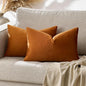 GIGIZAZA 12x20 Dark Burnt Orange Pillow Covers Velvet Lumbar Pillow Decorative Throw Pillows Couch Sofa Covers Bedroom Set of 2